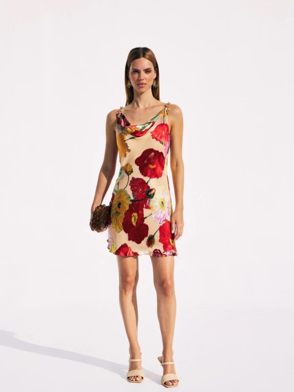 NERIDA DRESS