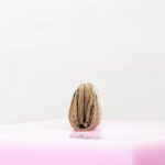 VENUS LA PETITE