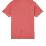 2SC67 PIGMENT DYE POLO
