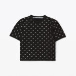 CROPPED LOGO TEE IN CRYSTAL NYLON