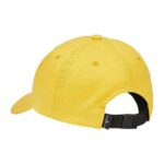99661 CAP
