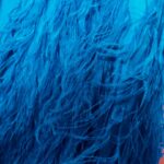 HANSAL FEATHER GOWN