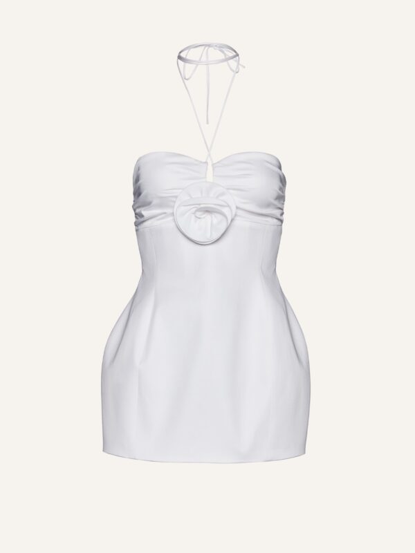 BUSTIER DRESS