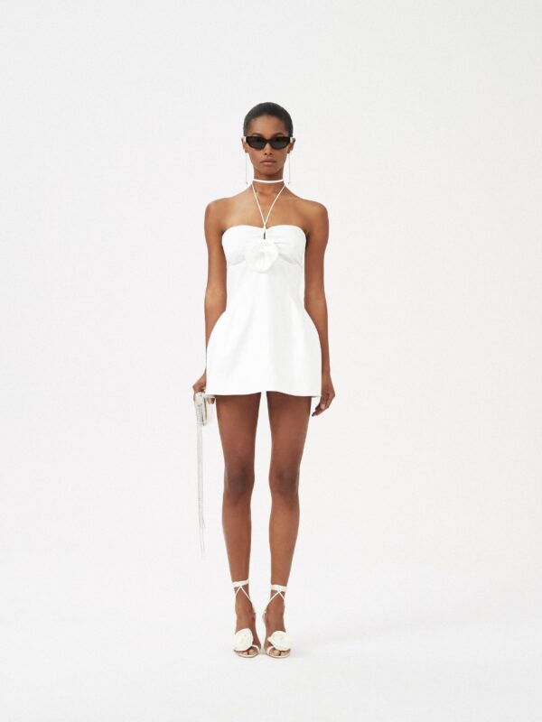 BUSTIER DRESS