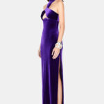CLEVELAND VELVET DRESS - PURPLE