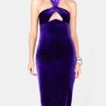 CLEVELAND VELVET DRESS - PURPLE