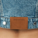 cropped denim trucker jacket in clear hotfix