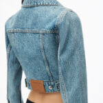 cropped denim trucker jacket in clear hotfix
