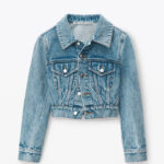 cropped denim trucker jacket in clear hotfix