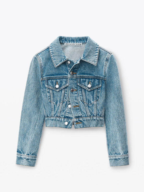 cropped denim trucker jacket in clear hotfix