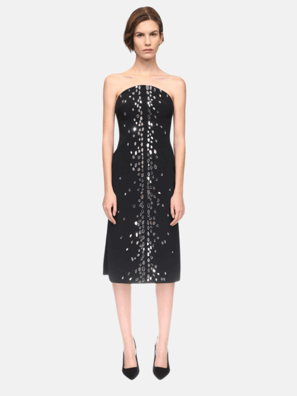 SPECKLED CRYSTAL EMBROIDERY MIDI DRESS