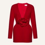 LONG SLEEVE FLORAL APPLIQUE MINI DRESS