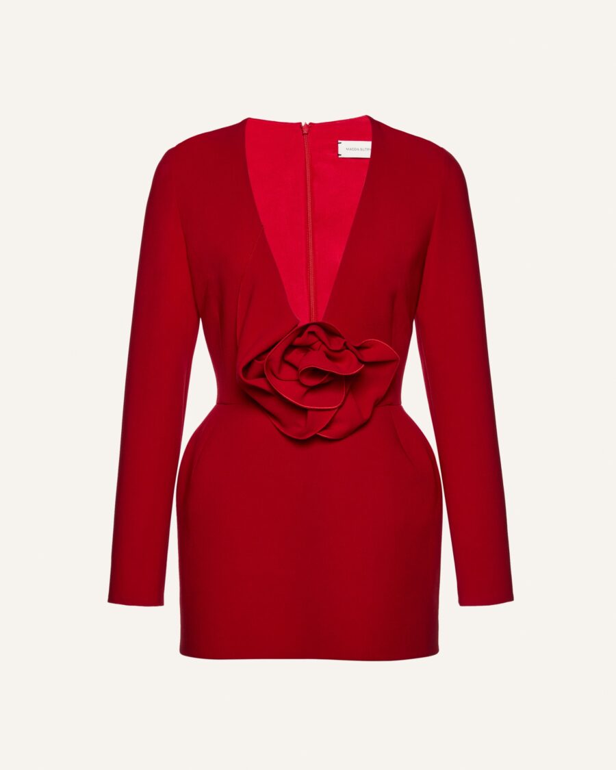 LONG SLEEVE FLORAL APPLIQUE MINI DRESS