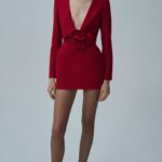 LONG SLEEVE FLORAL APPLIQUE MINI DRESS