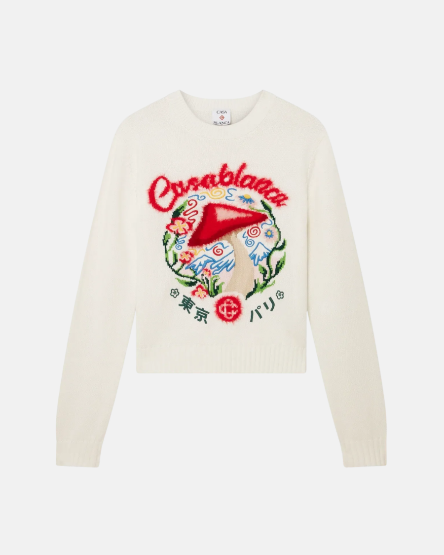 EMBROIDERED COTTON SWEATER