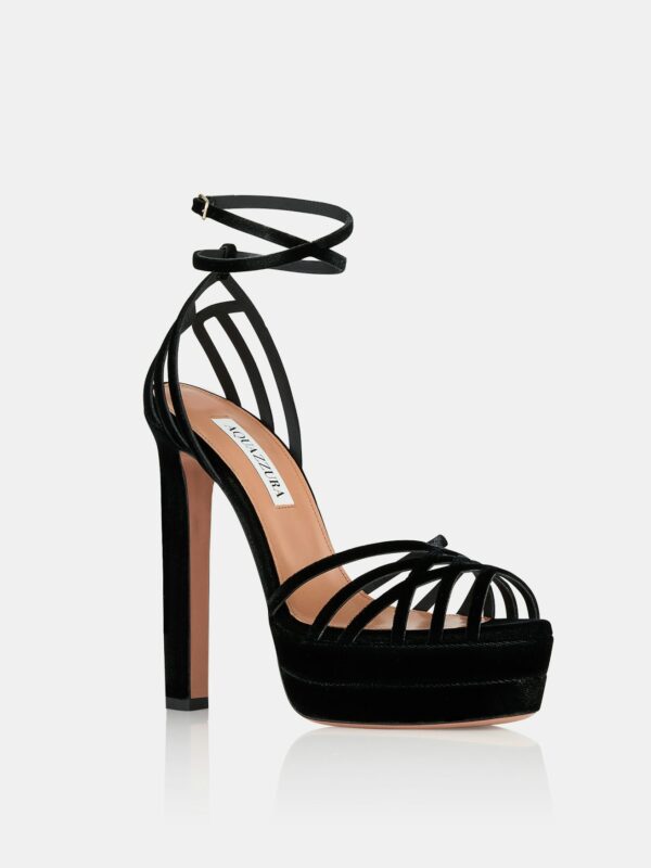 WILD DREAM 130 PLATFORM