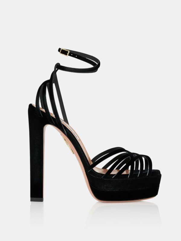 WILD DREAM 130 PLATFORM