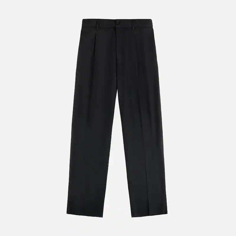 PLEATED PANTS